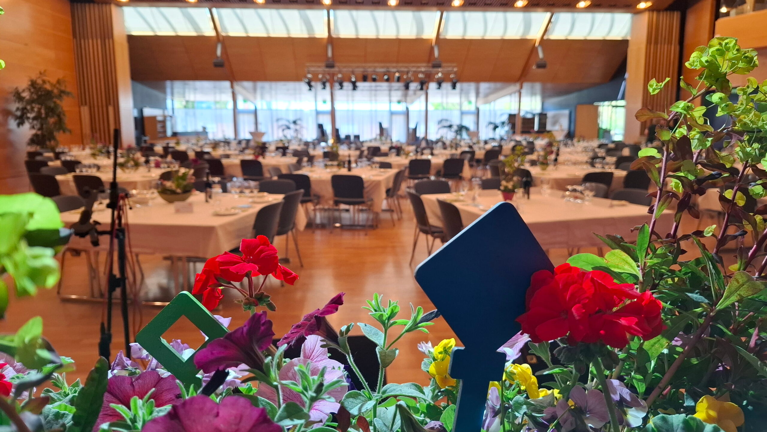 Saal_Details3
